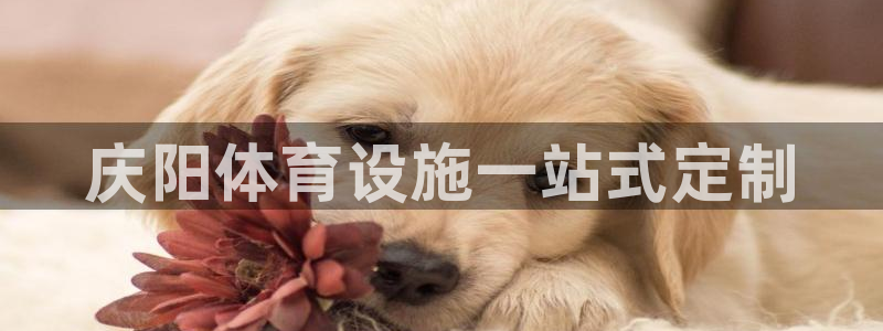 意昂3娱乐是那个系列的台子：庆阳体育设施一站式定制