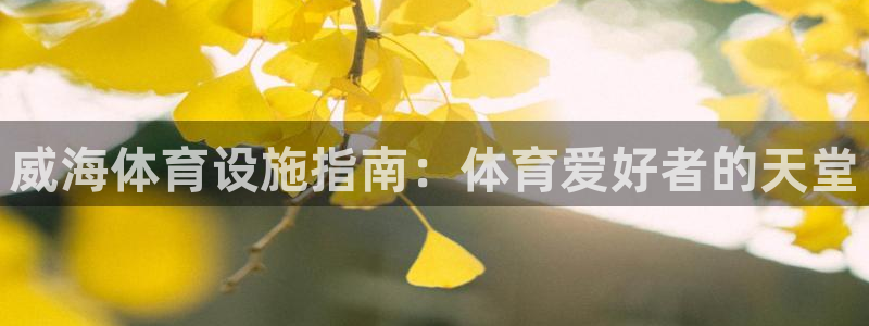 意昂3集团官网首页网址：威海体育设施指南：体育爱好者