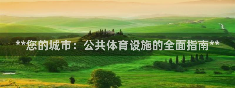 意昂体育3娱乐：**您的城市：公共体育设施的全面指南
