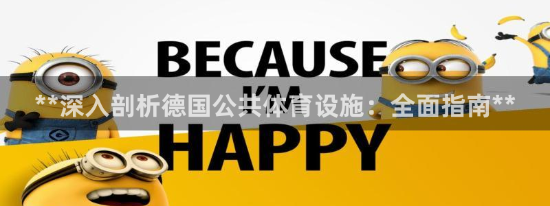 意昂3神州：**深入剖析德国公共体育设施：全面指南*