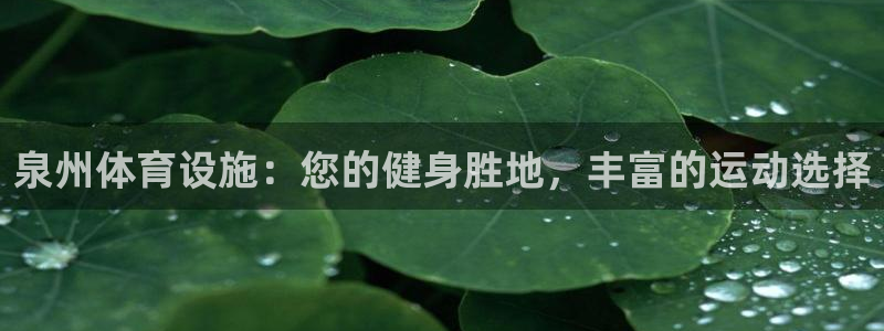 意昂3官网：泉州体育设施：您的健身胜地，丰富的运动选