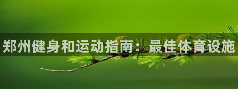意昂体育3招商电话地址：郑州健身和运动指南：最佳体育