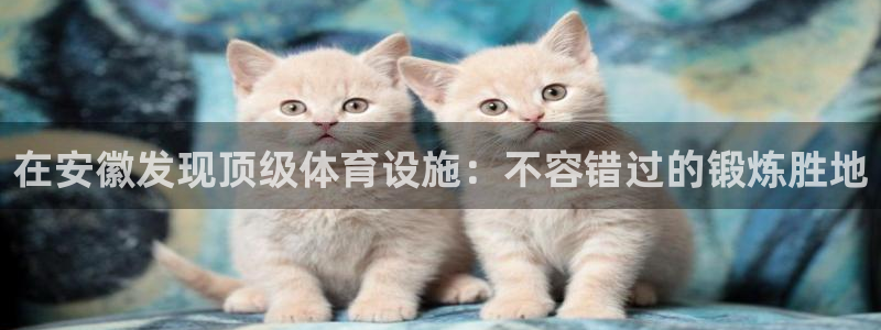 意昂体育3招商电话地址是多少：在安徽发现顶级体育设施