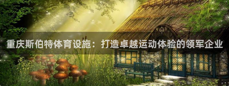 海南意昂体育3：重庆斯伯特体育设施：打造卓越运动体验
