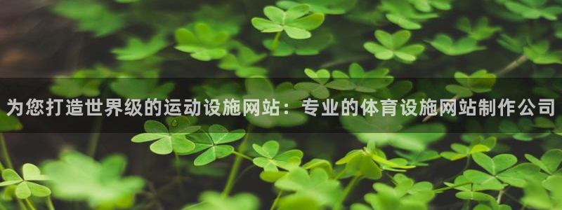 意昂3代理：为您打造世界级的运动设施网站：专业的体育