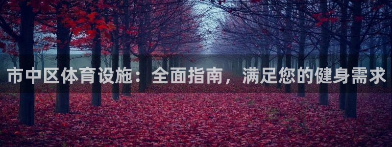意昂体育3招商电话地址是多少：市中区体育设施：全面指