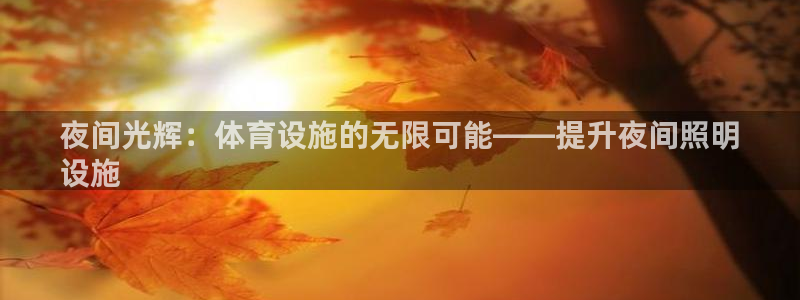 意昂体育3招商电话是多少啊：夜间光辉：体育设施的无限