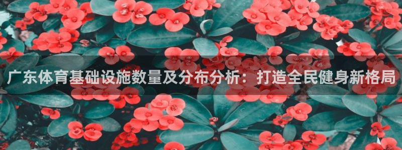意昂集团官网：广东体育基础设施数量及分布分析：打造全