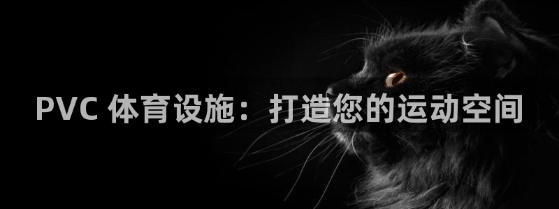 意昂体育3平台：PVC 体育设施：打造您的运动空间