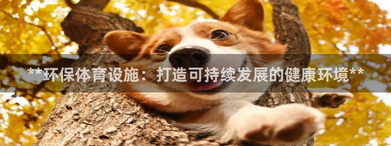 意昂体育3平台假的吗是真的吗吗：**环保体育设施：打