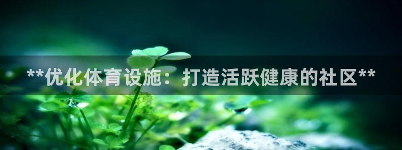意昂体育3平台是正规平台吗：**优化体育设施：打造活