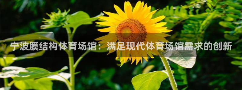 意昂体育3官方客服电话：宁波膜结构体育场馆：满足现代