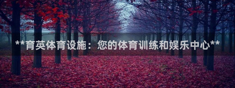 意昂体育3软件：**育英体育设施：您的体育训练和娱乐