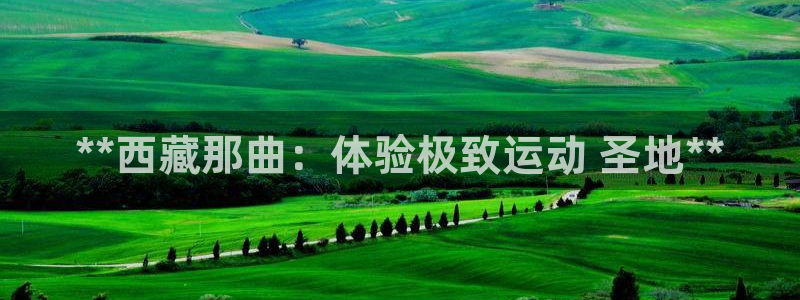 意昂体育3招商电话号码是多少：**西藏那曲：体验极致