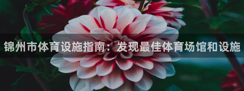 意昂体育3平台是正规平台吗知乎：锦州市体育设施指南：
