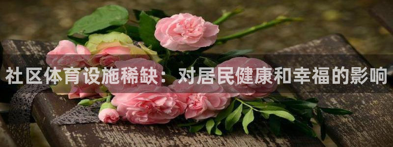 意昂3集团官网首页：社区体育设施稀缺：对居民健康和幸