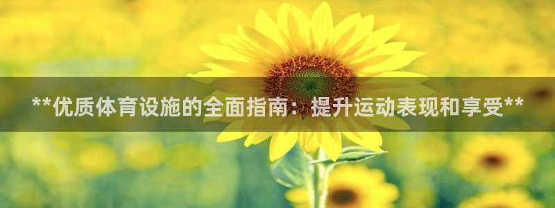 **优质体育设施的全面指南：提升运动表现和享受**