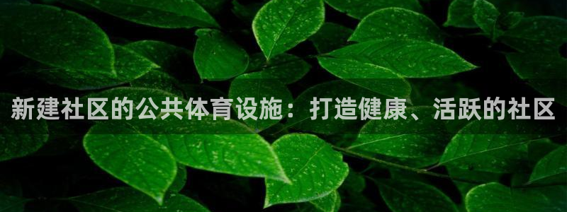意昂体育3平台是正规平台吗安全吗：新建社区的公共体育