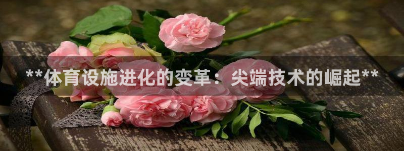 意昂体育3平台是正规平台吗知乎：**体育设施进化的变