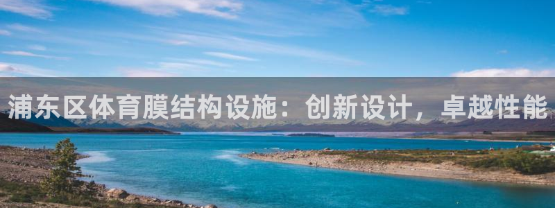意昂3官网：浦东区体育膜结构设施：创新设计，卓越性能
