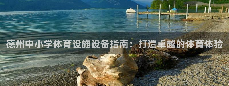 海南意昂体育3发展怎么样：德州中小学体育设施设备指南