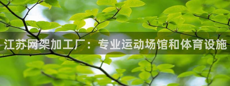 意昂3科技：江苏网架加工厂：专业运动场馆和体育设施