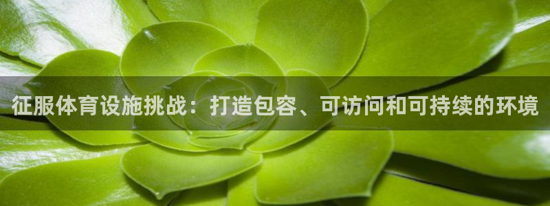 意昂3娱乐：征服体育设施挑战：打造包容、可访问和可持
