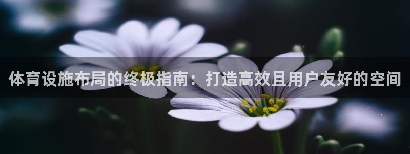 意昂体育3平台注册要钱吗安全吗：体育设施布局的终极指