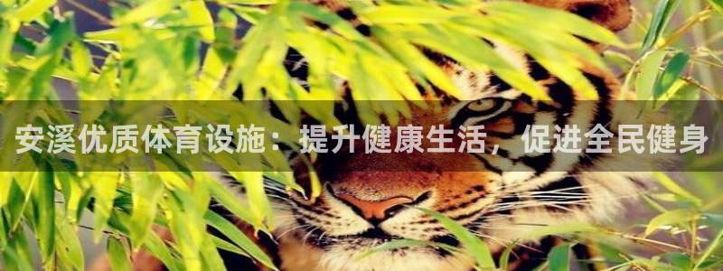 意昂体育3招商：安溪优质体育设施：提升健康生活，促进