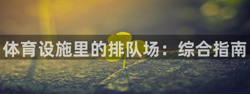 意昂体育3招商电话地址：体育设施里的排队场：综合指南