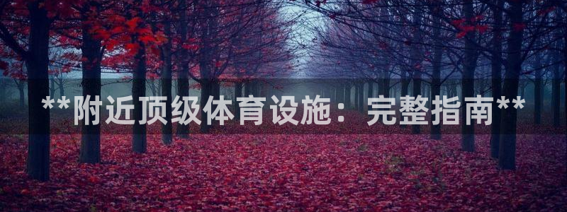 海南意昂体育3：**附近顶级体育设施：完整指南**