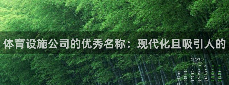 意昂3集团官网首页：体育设施公司的优秀名称：现代化且