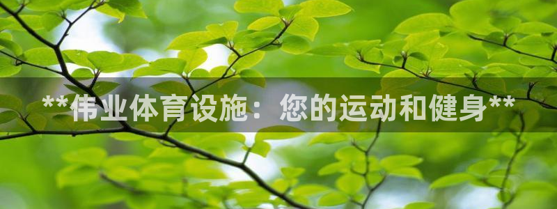 意昂3娱乐平台：**伟业体育设施：您的运动和健身**
