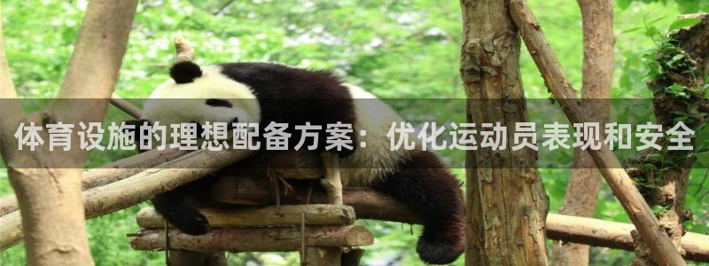 意昂3娱乐下载：体育设施的理想配备方案：优化运动员表