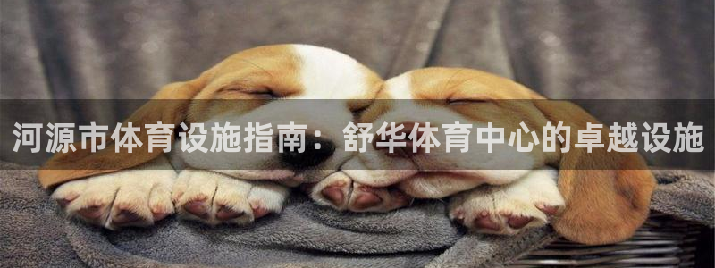 意昂体育3平台假的吗是真的吗吗：河源市体育设施指南：