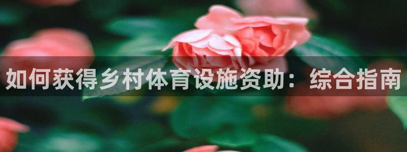 意昂体育3娱乐：如何获得乡村体育设施资助：综合指南