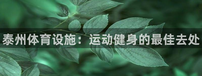 意昂3开户：泰州体育设施：运动健身的最佳去处