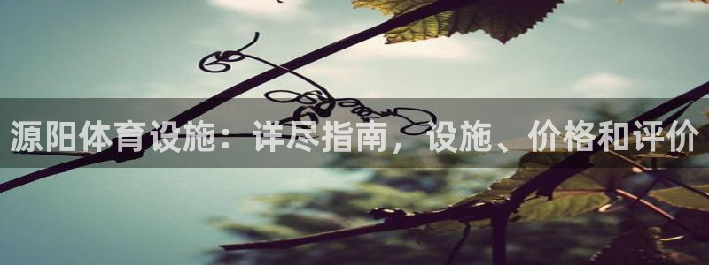 意昂3娱乐代理怎么样：源阳体育设施：详尽指南，设施、