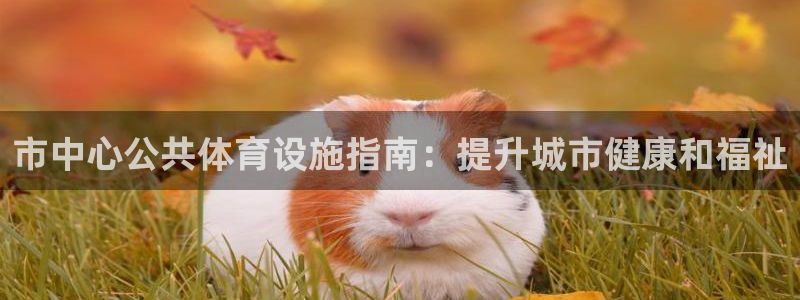 意昂3娱乐代理怎么样：市中心公共体育设施指南：提升城