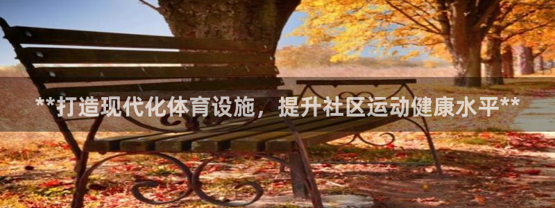 意昂体育3娱乐：**打造现代化体育设施，提升社区运动