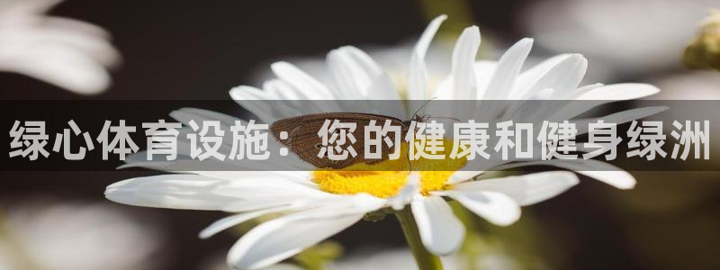 意昂体育3招商：绿心体育设施：您的健康和健身绿洲