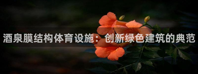 意昂体育3平台假的吗是真的吗吗：酒泉膜结构体育设施：