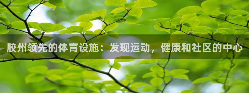 意昂3官方：胶州领先的体育设施：发现运动，健康和社区