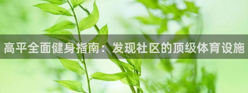 意昂平台体育：高平全面健身指南：发现社区的顶级体育设