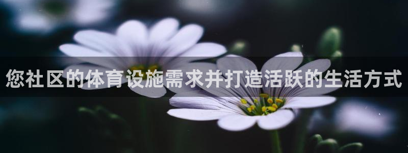 意昂平台体育：您社区的体育设施需求并打造活跃的生活方