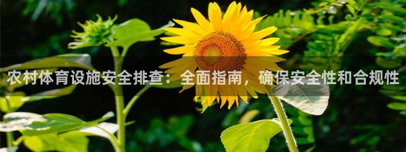 意昂3娱乐平台：农村体育设施安全排查：全面指南，确保