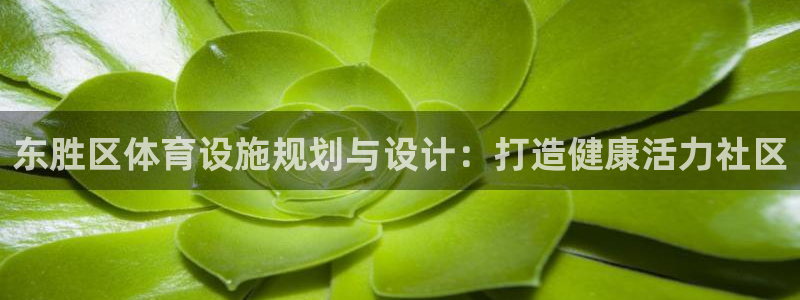 意昂体育3平台假的吗是真的吗：东胜区体育设施规划与设