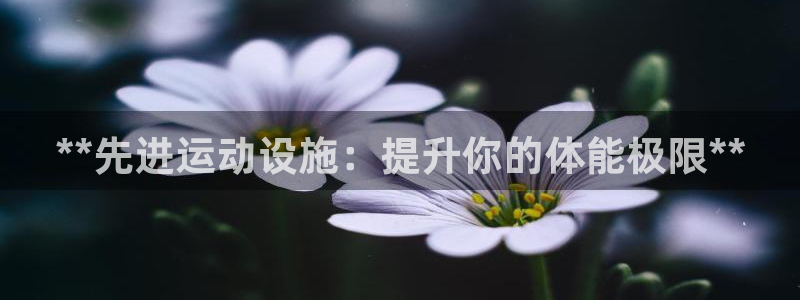 意昂体育3招商电话号码是多少：**先进运动设施：提升