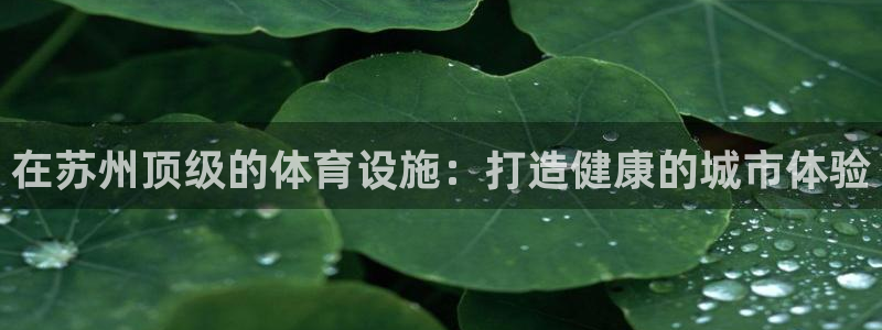 意昂3科技：在苏州顶级的体育设施：打造健康的城市体验