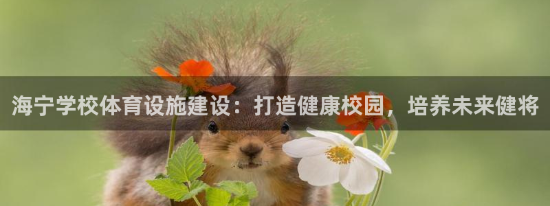 意昂体育3招商电话号码是多少号：海宁学校体育设施建设